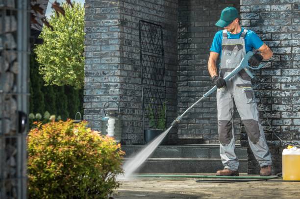 Best Soft Washing for Delicate Surfaces in Creola, AL